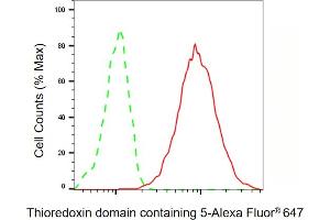 Flow cytometric analysis of Thioredoxin domain containing 5 expression in HepG2 cells using Thioredoxin domain containing 5 antibody ( (ABIN7800541), 1:2,000). (TXNDC5 Antikörper)