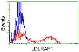 Flow Cytometry (FACS) image for anti-Low Density Lipoprotein Receptor Adaptor Protein 1 (LDLRAP1) antibody (ABIN1496688) (LDLRAP1 Antikörper)