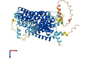 SLC7A1 Protein (AA 1-622) (His tag)