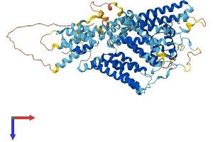 TPCN2 Protein (AA 1-752) (His tag)