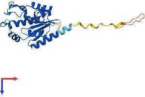 ITGB1BP3 Protein (AA 1-230) (His tag)