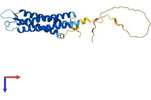 Synaptogyrin 1 Protein (SYNGR1) (AA 1-234) (His tag)