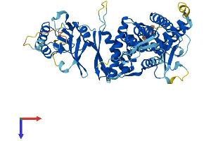 MKKS Protein (AA 1-570) (His tag)
