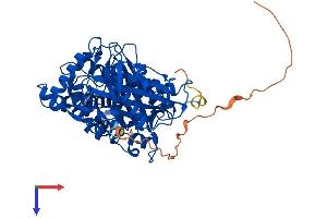 HMGCS1 Protein (AA 1-520) (His tag)