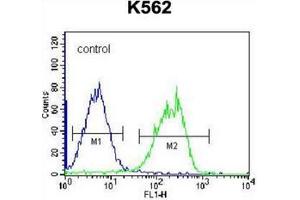 Flow cytometric analysis of K562 cells using HLA-DQA1 Antibody (Center) Cat.