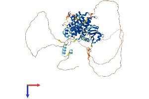 IRAK1 Protein (AA 1-712) (His tag)