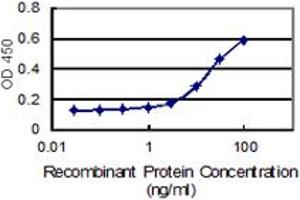 Detection limit for recombinant GST tagged LENG1 is 1 ng/ml as a capture antibody. (Leng1 Antikörper  (AA 1-264))