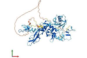 Protein Structure (PS) image for Parkinson Protein 2, E3 Ubiquitin Protein Ligase (Parkin) (PARK2) (AA 1-465) protein (His tag) (ABIN7555042)