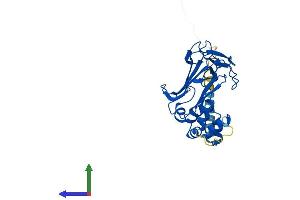Protein Structure (PS) image for F-Box Protein 2 (FBXO2) (AA 1-297) protein (His tag) (ABIN7558344)