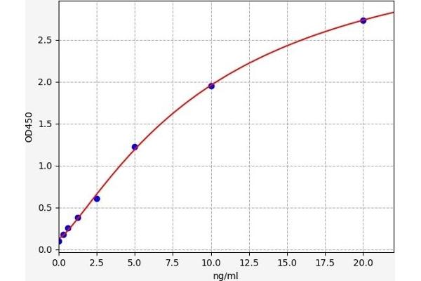 ADAMTS9 ELISA Kit