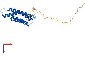 AGTRAP Protein (AA 1-159) (His tag)