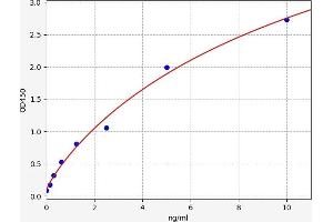 FOXC1 ELISA Kit