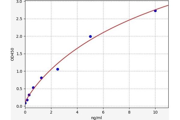 FOXC1 ELISA Kit