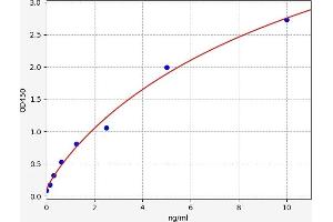 Typical standard curve (FOXC1 ELISA Kit)