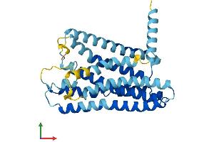 AlphaFold protein structure predicition of Human Recombinant OR10A2 Protein, UniprotID Q9H208 (Olfactory Receptor, Family 10, Subfamily A, Member 2 (OR10A2) (AA 1-303) protein (His tag))