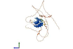 Protein Structure (PS) image for Nuclear Factor of kappa Light Polypeptide Gene Enhancer in B-Cells Inhibitor, epsilon (NFKBIE) (AA 1-500) protein (His tag) (ABIN7548474)
