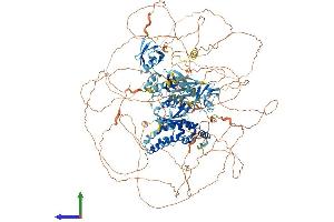 Protein Structure (PS) image for Regulator of G-Protein Signalling 12 (RGS12) (AA 1-1447) protein (His tag) (ABIN7555211)
