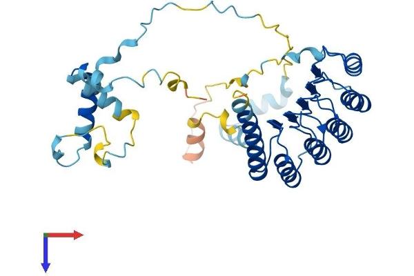 TMOD3 Protein (AA 1-352) (His tag)