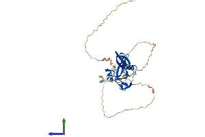 Protein Structure (PS) image for SET Domain Containing (Lysine Methyltransferase) 8 (SETD8) (AA 1-349) protein (His tag) (ABIN7563657)