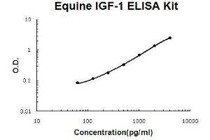 Horse equine IGF-1 PicoKine ELISA Kit standard curve (IGF1 ELISA Kit)