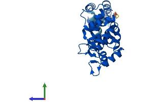 Protein Structure (PS) image for DCN1, Defective in Cullin Neddylation 1, Domain Containing 2 (DCUN1D2) (AA 1-259) protein (His tag) (ABIN7559045)