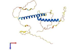 OLIG1 Protein (AA 1-271) (His tag)