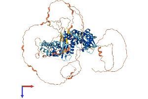 RALGDS Protein (AA 1-914) (His tag)