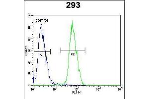 Flow cytometric analysis of 293 cells (right histogram) compared to a negative control cell (left histogram). (PLA2G1B Antikörper  (C-Term))