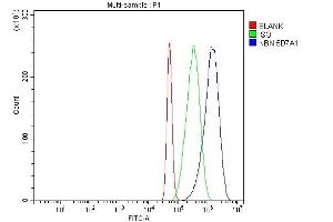 Flow Cytometry analysis of A431 cells using anti-p95 NBS1 antibody (ABIN7602793).