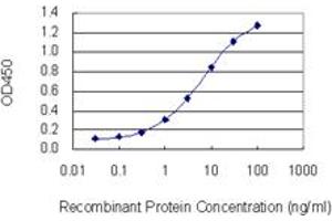 Detection limit for recombinant GST tagged FAF1 is 0. (FAF1 Antikörper  (AA 551-650))