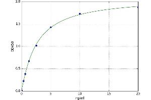 A typical standard curve (SLC2A3 ELISA Kit)
