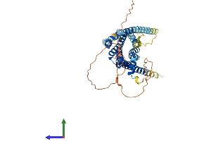 Protein Structure (PS) image for Dopamine Receptor D1 (DRD1) (AA 1-446) protein (His tag) (ABIN7547147)