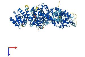 ELMO2 Protein (AA 1-720) (His tag)