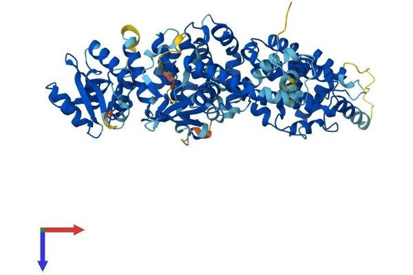ELMO2 Protein (AA 1-720) (His tag)