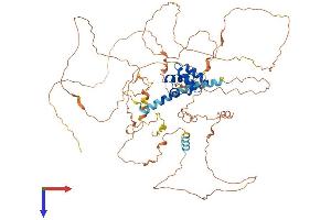 SAMD11 Protein (AA 1-681) (His tag)
