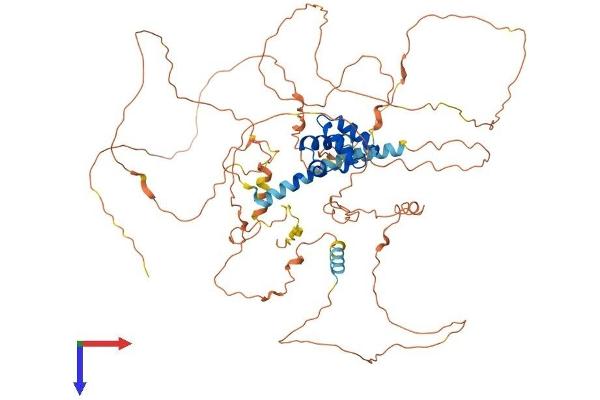 SAMD11 Protein (AA 1-681) (His tag)
