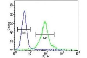 Flow Cytometry (FACS) image for anti-Methyl CpG Binding Protein 2 (MECP2) (AA 58-87) antibody (ABIN3031763)