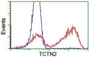 HEK293T cells transfected with either RC203860 overexpress plasmid (Red) or empty vector control plasmid (Blue) were immunostained by anti-TCTN2 antibody (ABIN2453721), and then analyzed by flow cytometry.