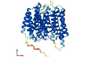 AlphaFold protein structure predicition of Human Recombinant DOLK Protein, UniprotID Q9UPQ8