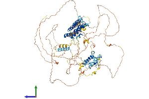 Protein Structure (PS) image for La Ribonucleoprotein Domain Family, Member 1B (LARP1B) (AA 1-914) protein (His tag) (ABIN7549014)