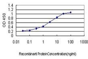 Detection limit for recombinant GST tagged KSR2 is approximately 0. (KSR2 Antikörper  (AA 411-500))