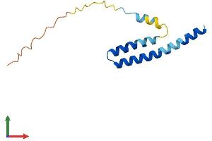 AlphaFold protein structure predicition of Mouse Recombinant Ifitm1 Protein, UniprotID Q9D103 (IFITM1 Protein (AA 1-106) (His tag))