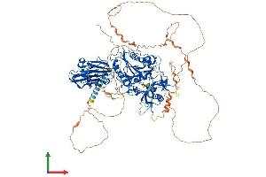 Protein Structure (PS) image for beta-1,4-N-Acetyl-Galactosaminyl Transferase 4 (B4GALNT4) (AA 1-1039) protein (His tag) (ABIN7552598)