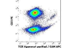 Flow cytometry multicolor surface staining of human lymphocytes stained using anti-human TCR Vgamma4 (4A11. (TCR Vgamma4 Antikörper)
