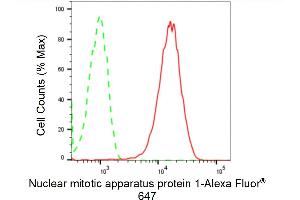 Flow cytometric analysis of Nuclear mitotic apparatus protein 1 expression in HepG2 cells using Nuclear mitotic apparatus protein 1 antibody (ABIN7799648), 1:2,000). (Rekombinanter NUMA1 Antikörper)