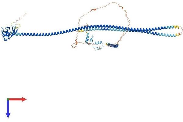 TAX1BP1 Protein (AA 1-789) (His tag)