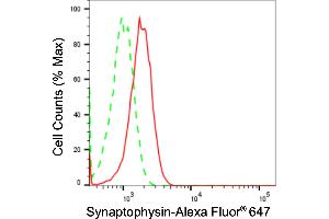 Flow cytometric analysis of Synaptophysin expression in HT- cells using Synaptophysin antibody (ABIN7800485), 1:2,000). (Rekombinanter Synaptophysin Antikörper)