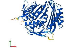 Protein Structure (PS) image for RNA Terminal Phosphate Cyclase-Like 1 (RCL1) (AA 1-373) protein (His tag) (ABIN7561605)