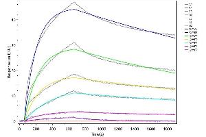Mouse Kitlg (ABIN7937736, ABIN8117851 and ABIN8117852) captured on Protein A Chip can bind Recombinant Mouse Kit with an affinity constant of 15.