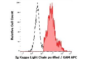 Separation of human Ig Kappa Light Chain positive lymphocytes (red-filled) from Ig Kappa Light Chain negative lymphocytes (black-dashed) in flow cytometry analysis (surface staining) of human peripheral whole blood stained using anti-human Ig Kappa Light Chain (A8B5) purified antibody (concentration in sample 4 μg/mL, GAM APC). (kappa Light Chain Antikörper)